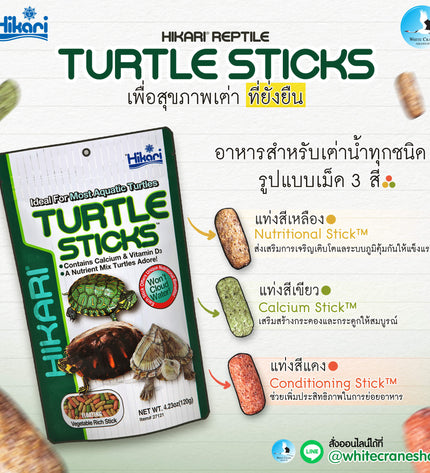 Reptile Turtle Sticks