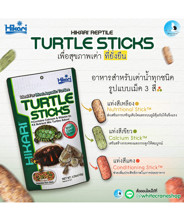 Reptile Turtle Sticks
