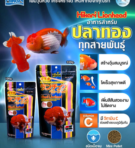 Hikari Lionhead-100g