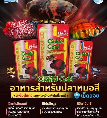 Cichlid Gold-57g