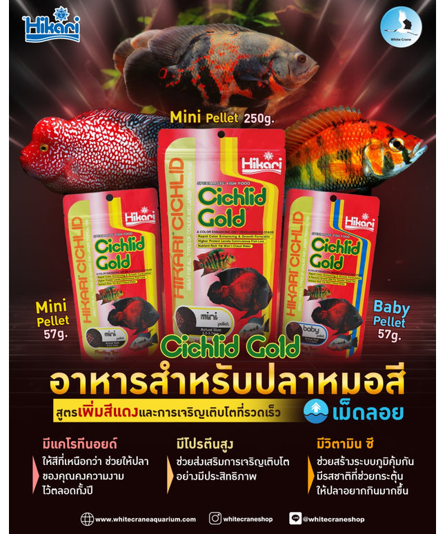 Cichlid Gold-57g