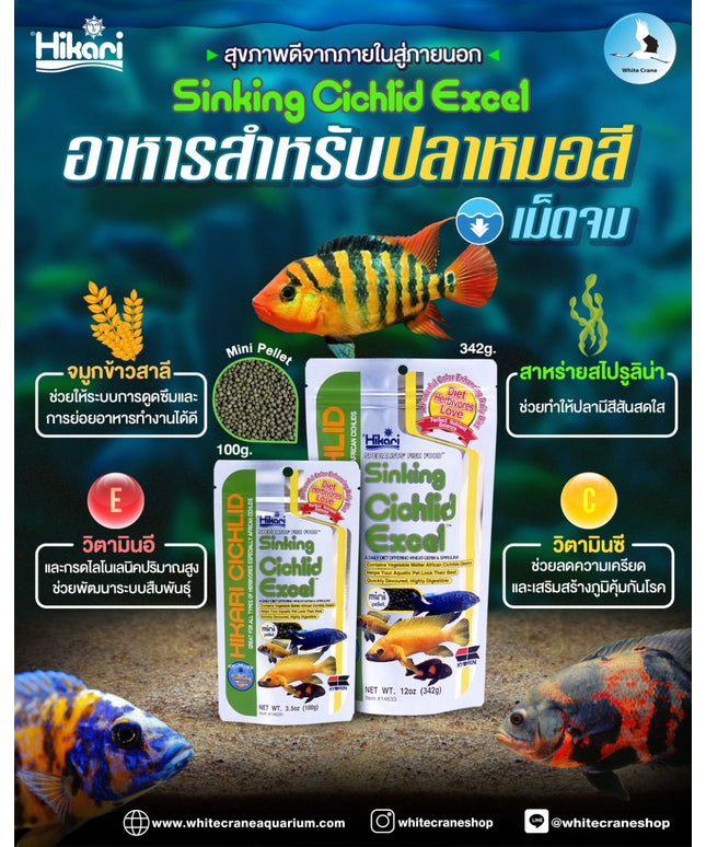 Sinking Cichlid Excel-250g