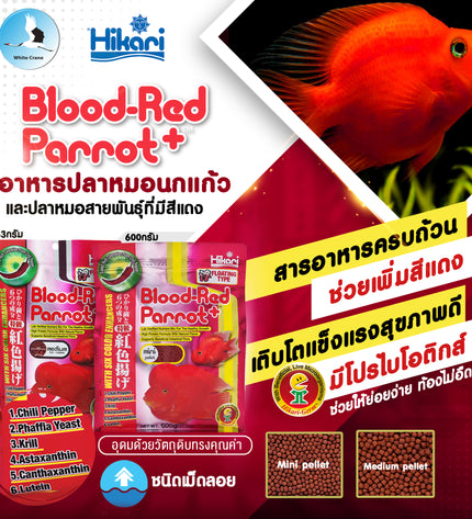 Hikari Blood-red Parrot