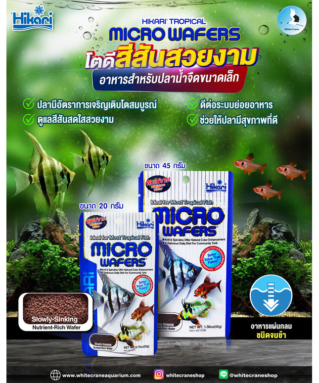 Hikari Tropical MICRO WAFERS