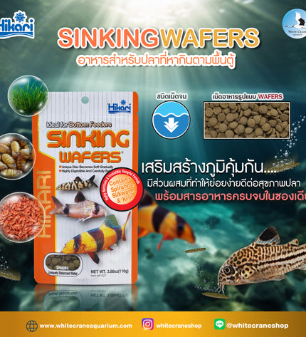 Hikari Tropical SINKING WAFERS