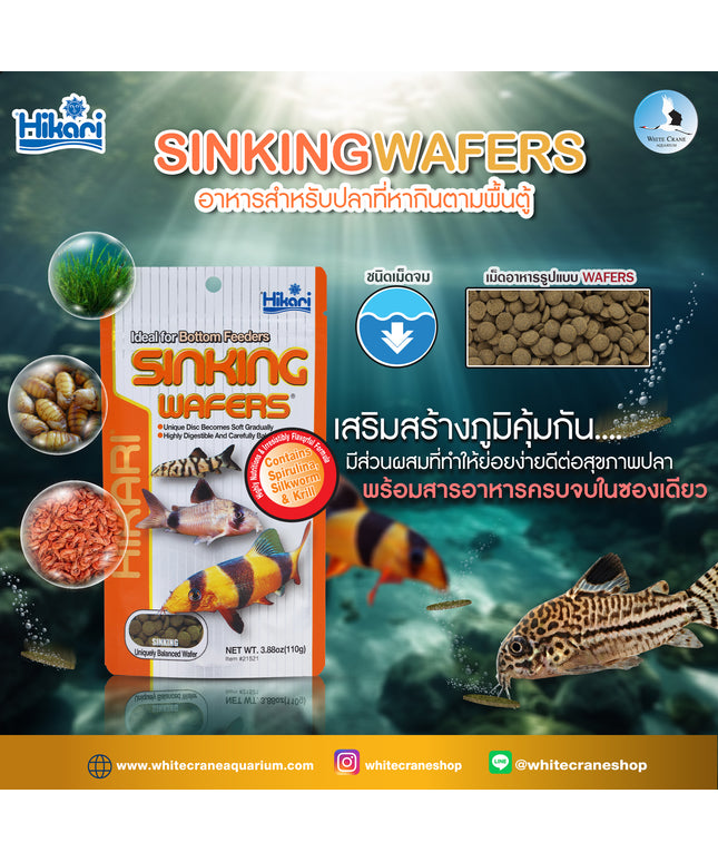 Hikari Tropical SINKING WAFERS