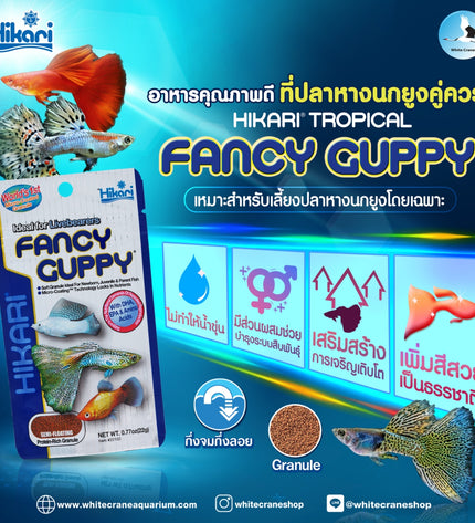 Hikari Tropical fancy Guppy-22g
