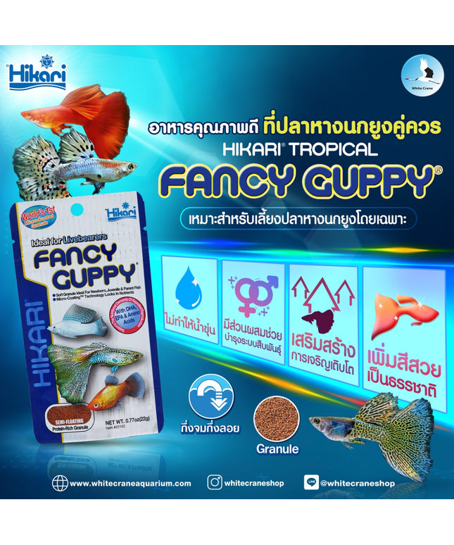 Hikari Tropical fancy Guppy-22g