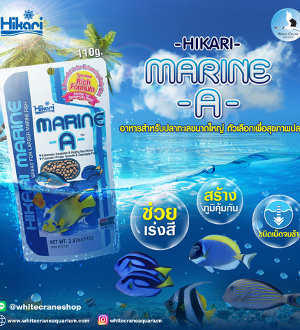 Marine A