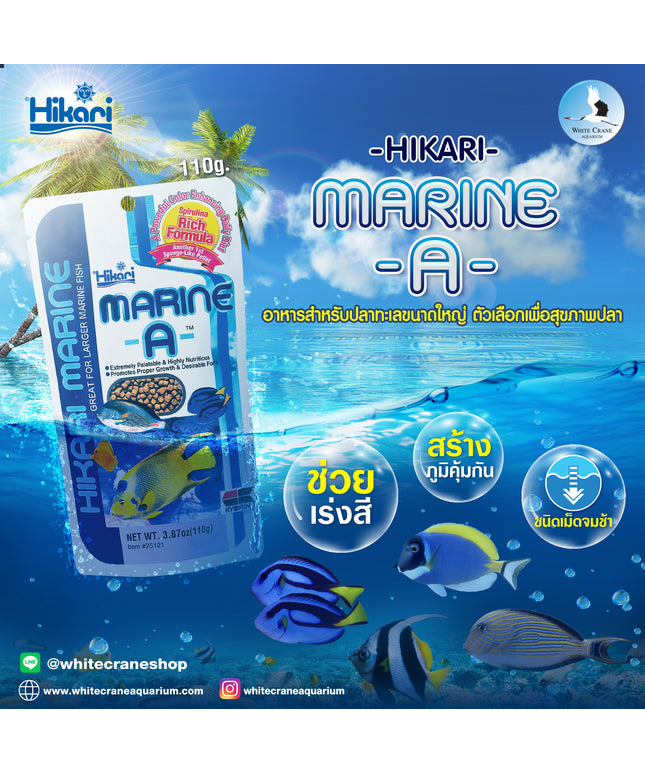Marine A