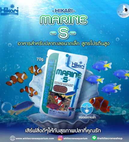 Marine S
