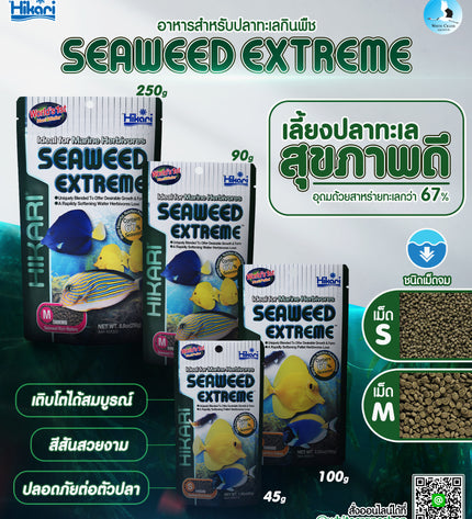 Marine Seaweed Extreme