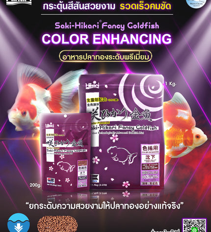 Saki-Hikari Fancy Goldfish