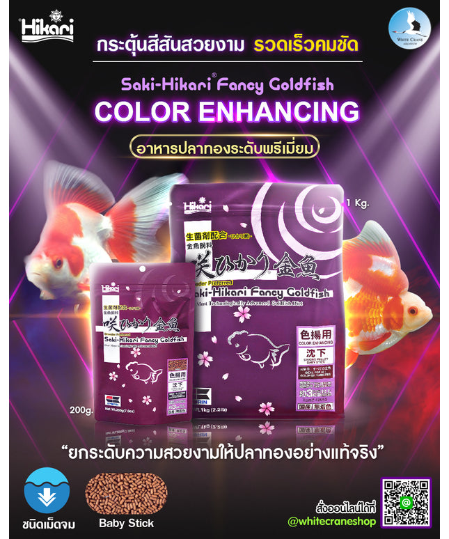 Saki-Hikari Fancy Goldfish