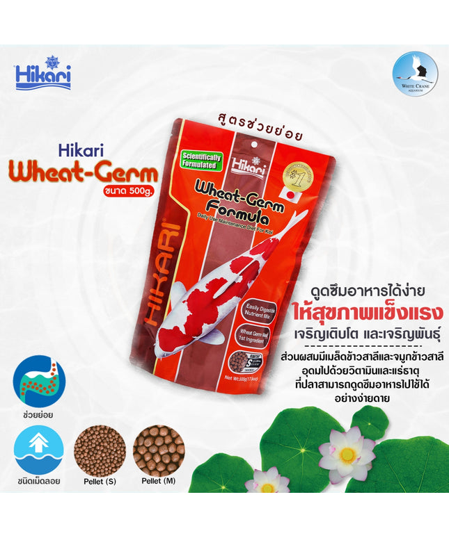Hikari Wheat-Germ Formula