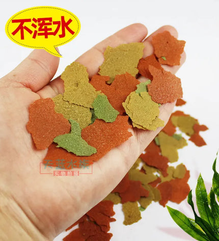 Dolphin Tropical Flakes Fish Food 5 gm