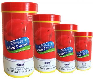 Top Blood Parrot