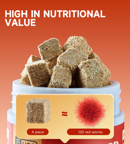 Fish Food Natural Frozen Dried Bloodworms Fish Food