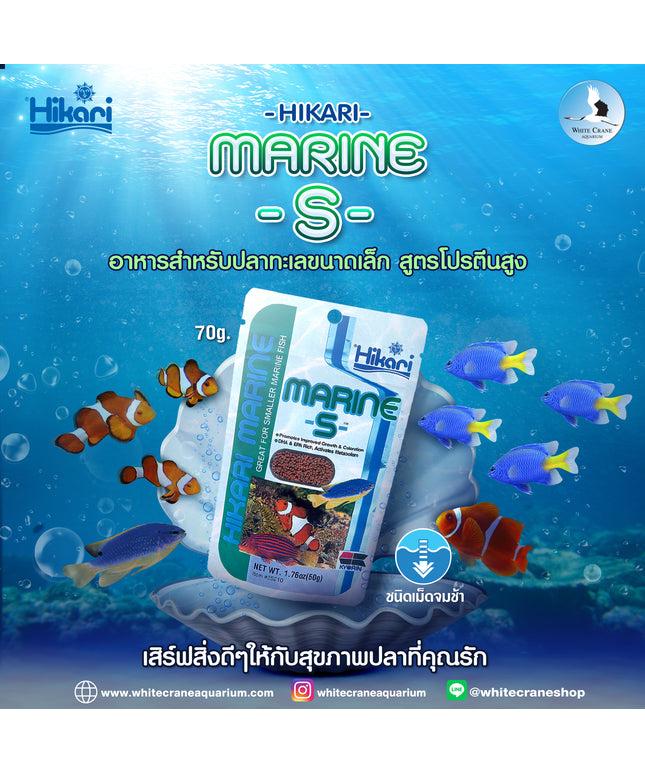 Hikari Marine-S-50g
