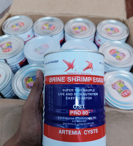 Brine Shrimp Eggs-O.S.I