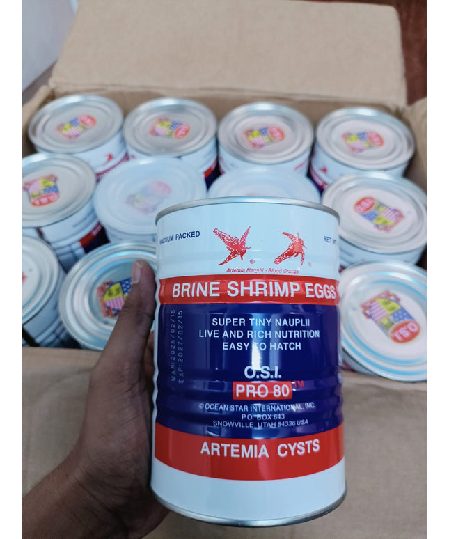 Brine Shrimp Eggs-O.S.I