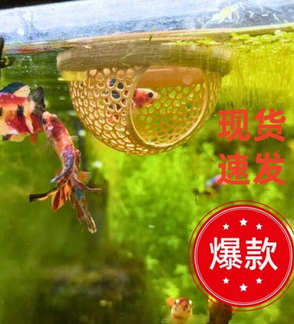 Betta House