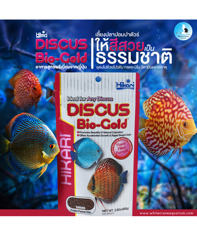 Hikari Discuss Bio-Gold-80g