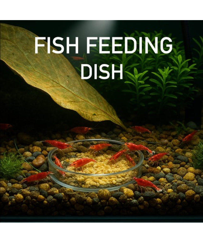 Shrimp Feeding Dish