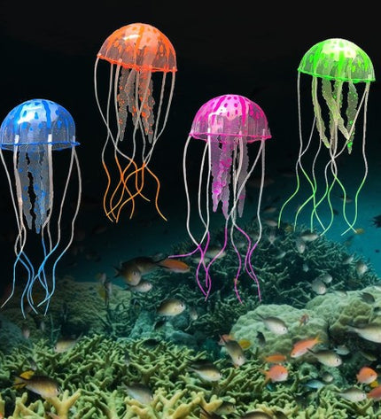 Jelly Fish