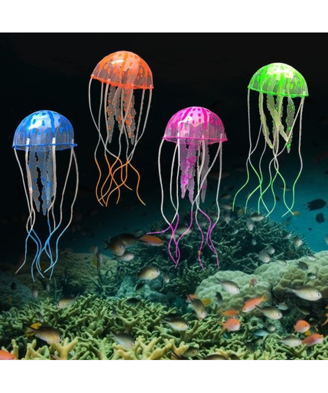 Jelly Fish